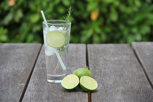 A tall clear glass filled with ice cubes, lime slices, herbs, and clear liquid