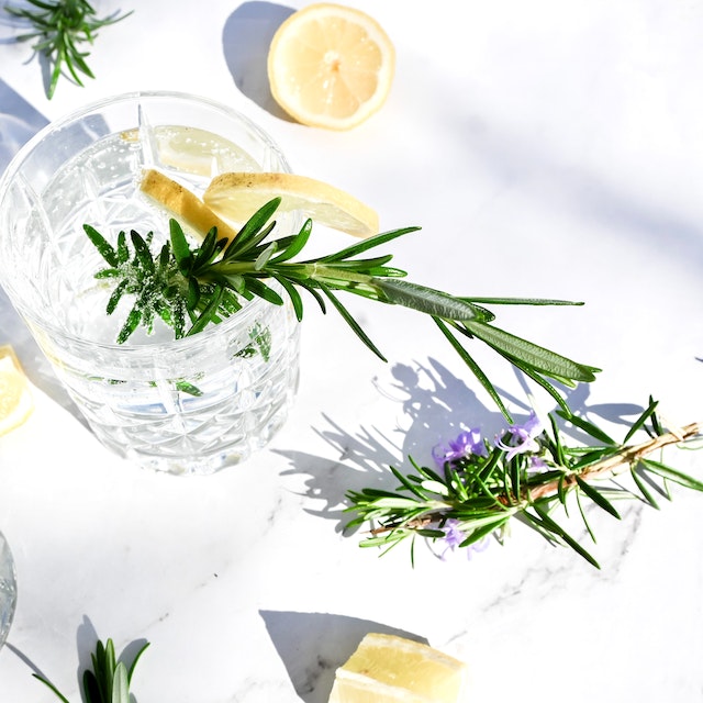 Clear drink with lemon slices and rosemary